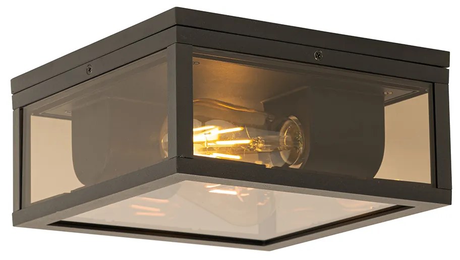 Candeeiro de teto preto com vidro fumê 2 luzes IP44 - Charlois Moderno