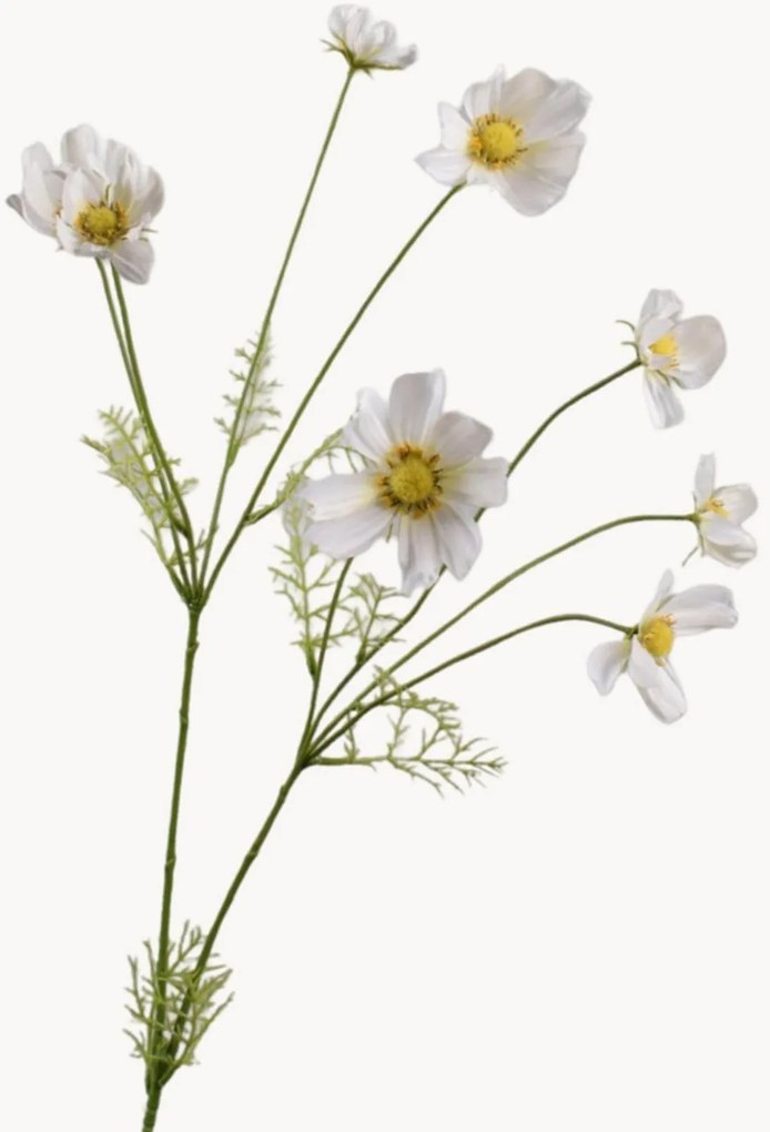 Ramos artificiais Cosmos, conjunto de 2