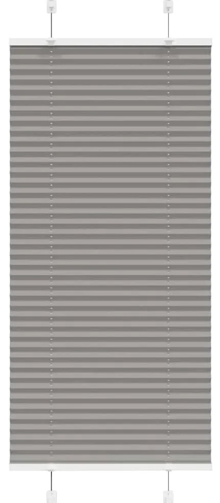 vidaXL Antracite Plissada Cega 55x150 cm Largura Tecido 54,4 cm