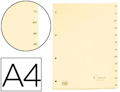 Separador Cartonex de Cartolina Mes Jan-Dez