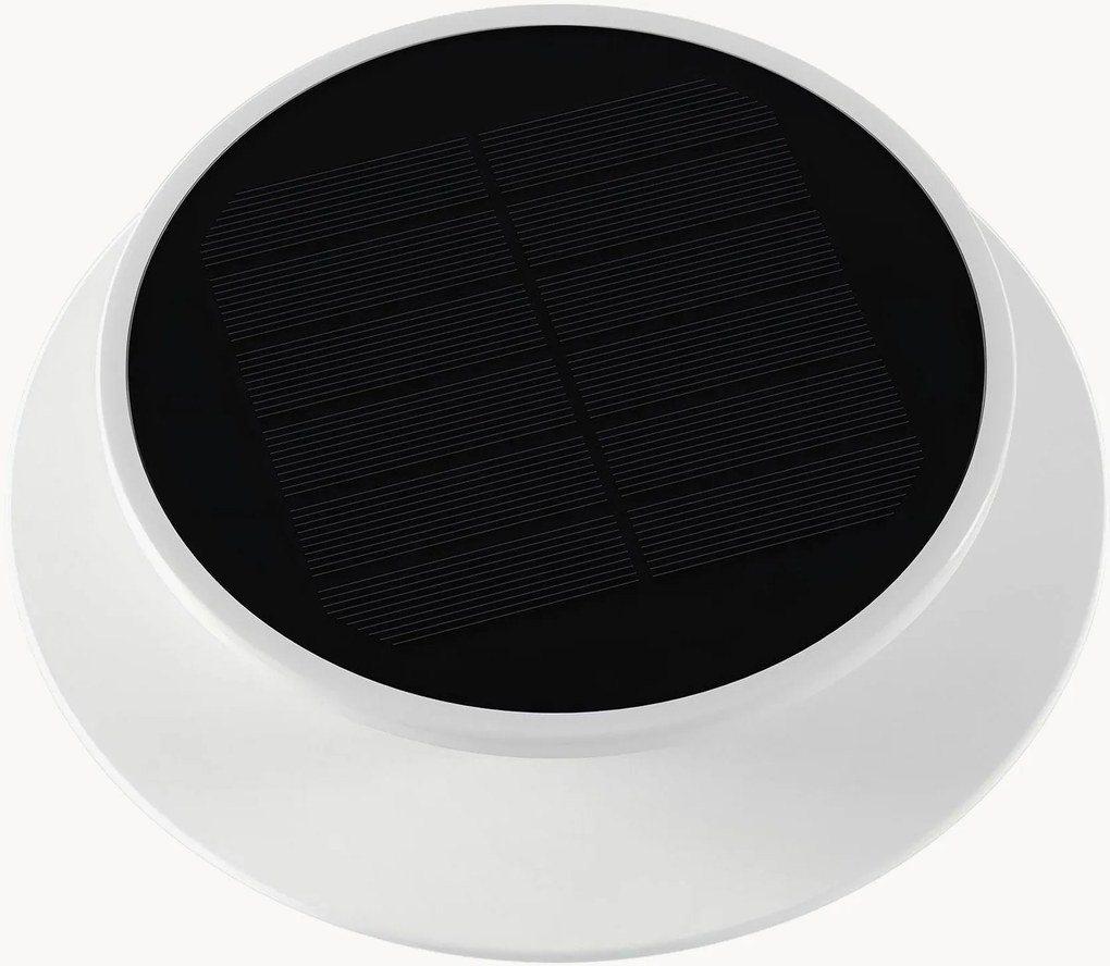 Projetor LED solar com espigão Solia