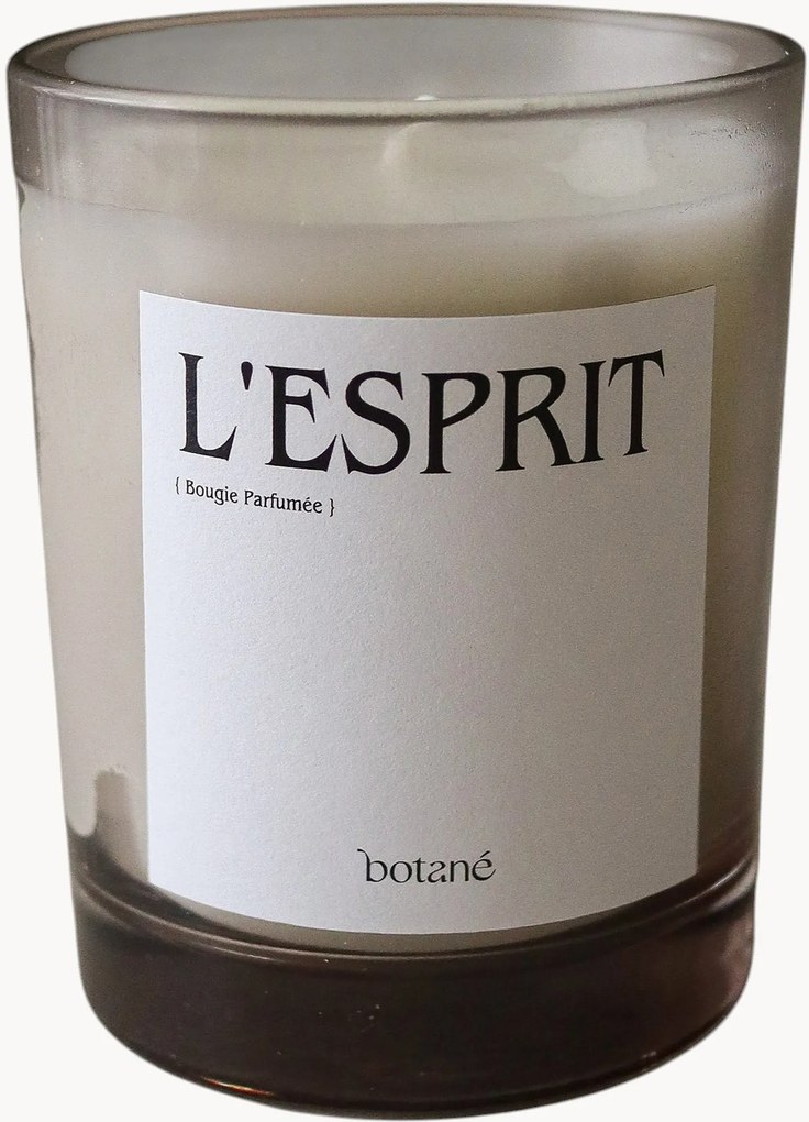 Vela perfumada L'esprit (agulhas de pinheiro, cedro, incenso e notas vegetais verdes)