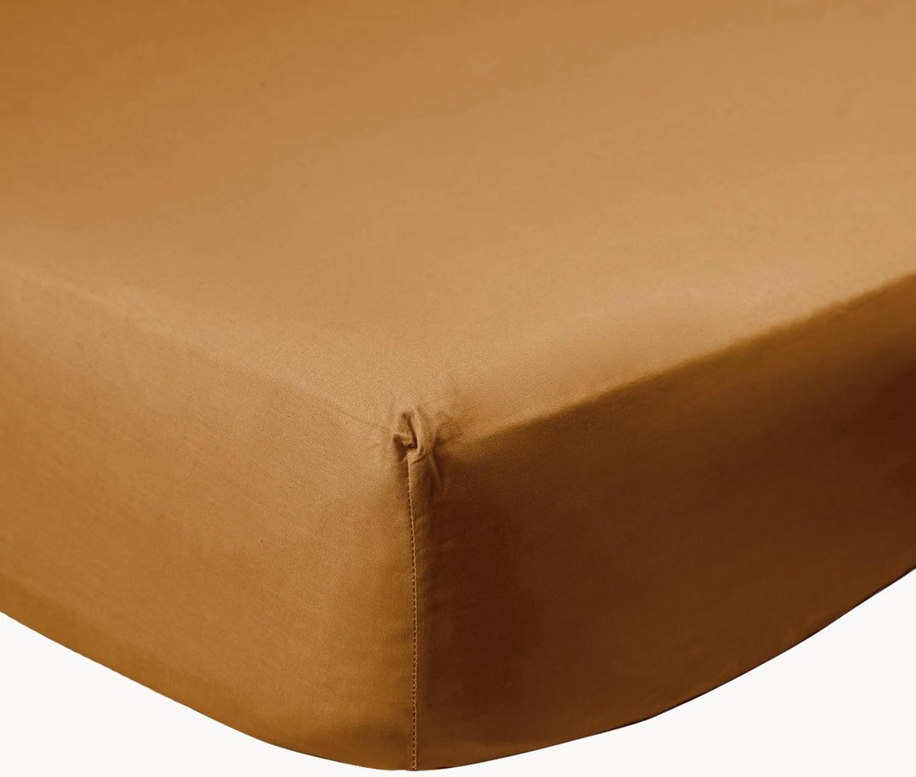 Lençol com elástico em percal de algodão Caramel