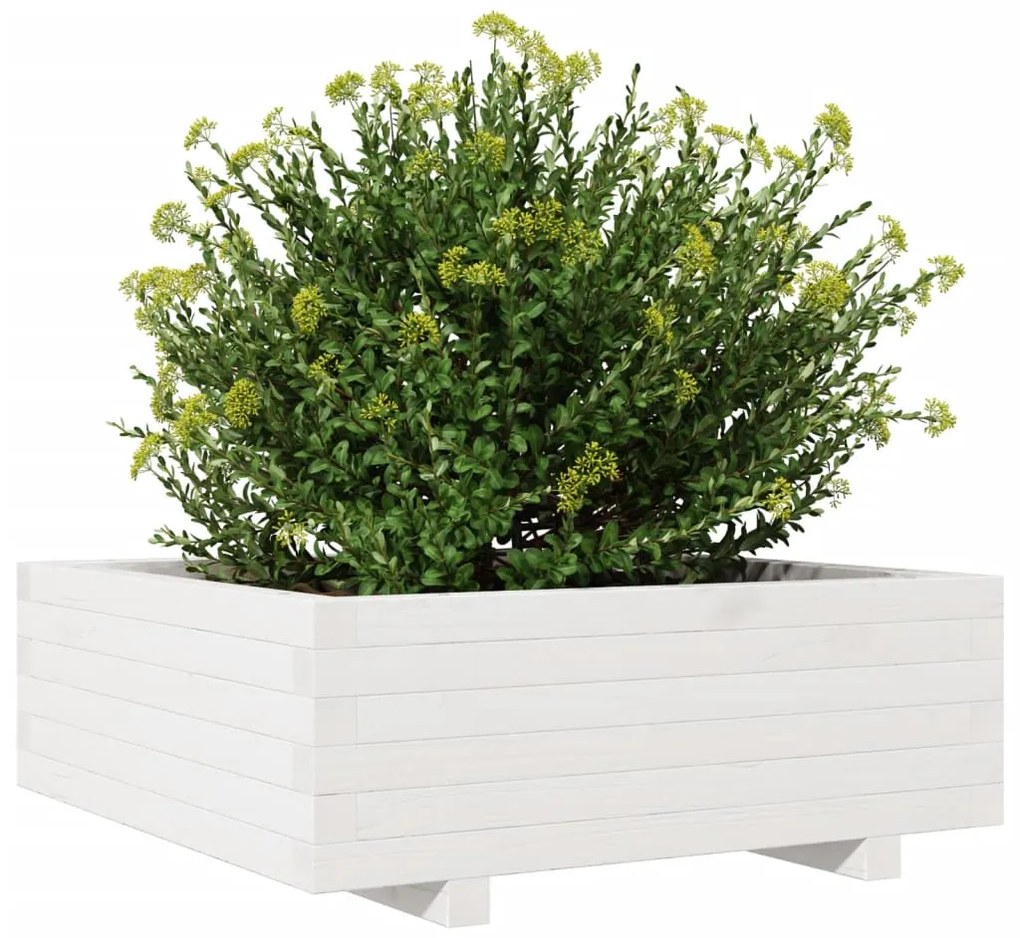 Vaso/floreira de jardim 70x70x26,5 cm pinho maciço branco