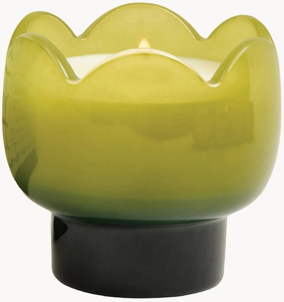 Vela perfumada em vidro Tulip (verbena, erva-príncipe)