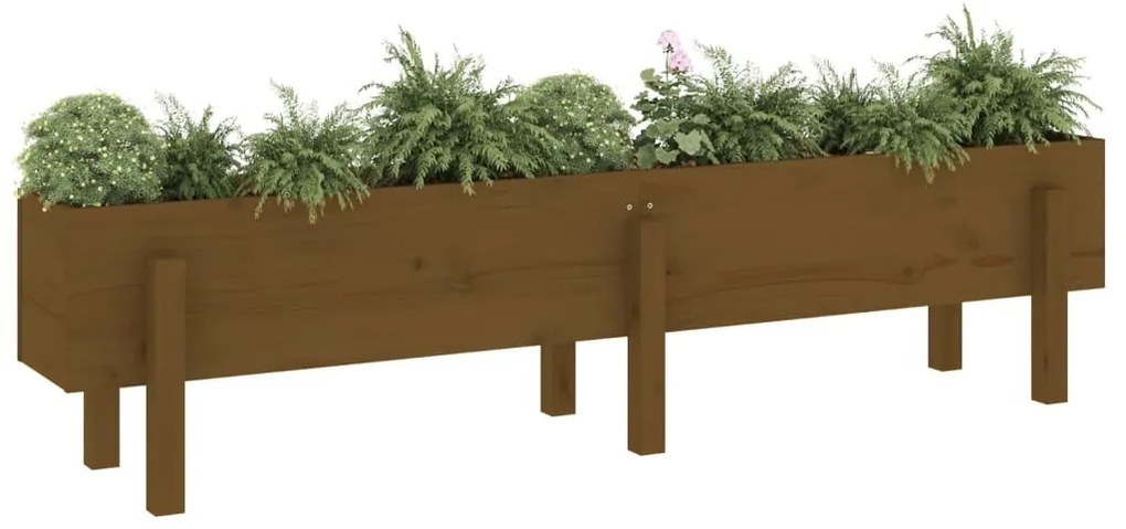 Canteiro elevado jardim 160x30x38 cm pinho maciço castanho-mel