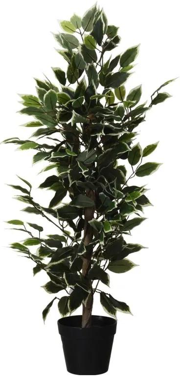 Ficus Imanol 95cm Branco