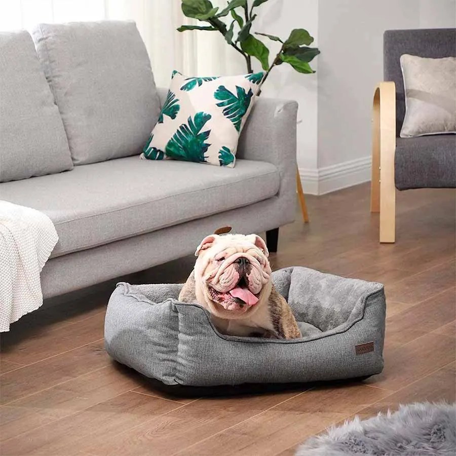 Cama para cães com cobertura amovível 70 x 55 x 21 cm cinzento