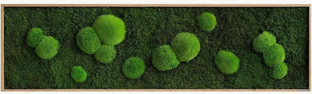 Quadro emoldurado artesanal com musgo Forest & Ball Wild