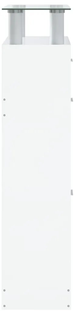 Sapateira 63x24x104 cm derivados de madeira branco brilhante