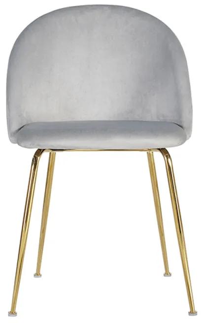Pack 6 Cadeiras Golden Dalnia Veludo - Cinza claro
