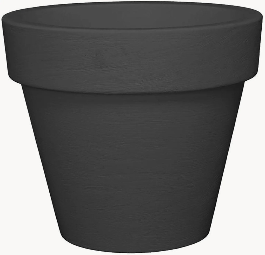 Vaso Liscio
