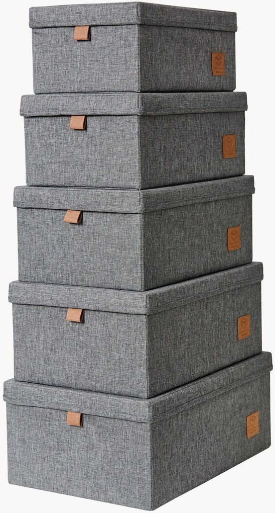Caixas de arrumação com tampas Premium, conjunto de 5