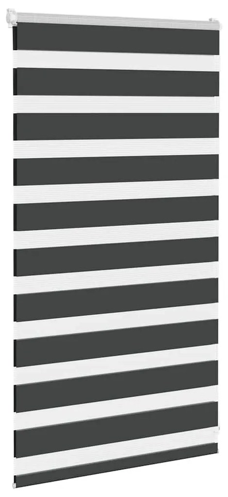 Cortina de zebra 75x100 cm largura do tecido 70,9 cm poliéster