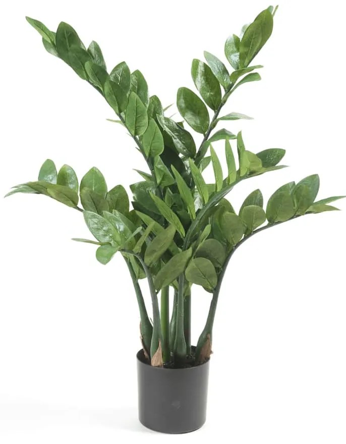 423603 Emerald Zamioculcas artificial 70 cm