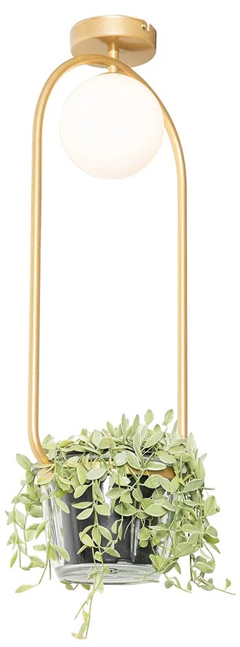 Candeeiro de teto Art Deco dourado com vidro branco - Isabella