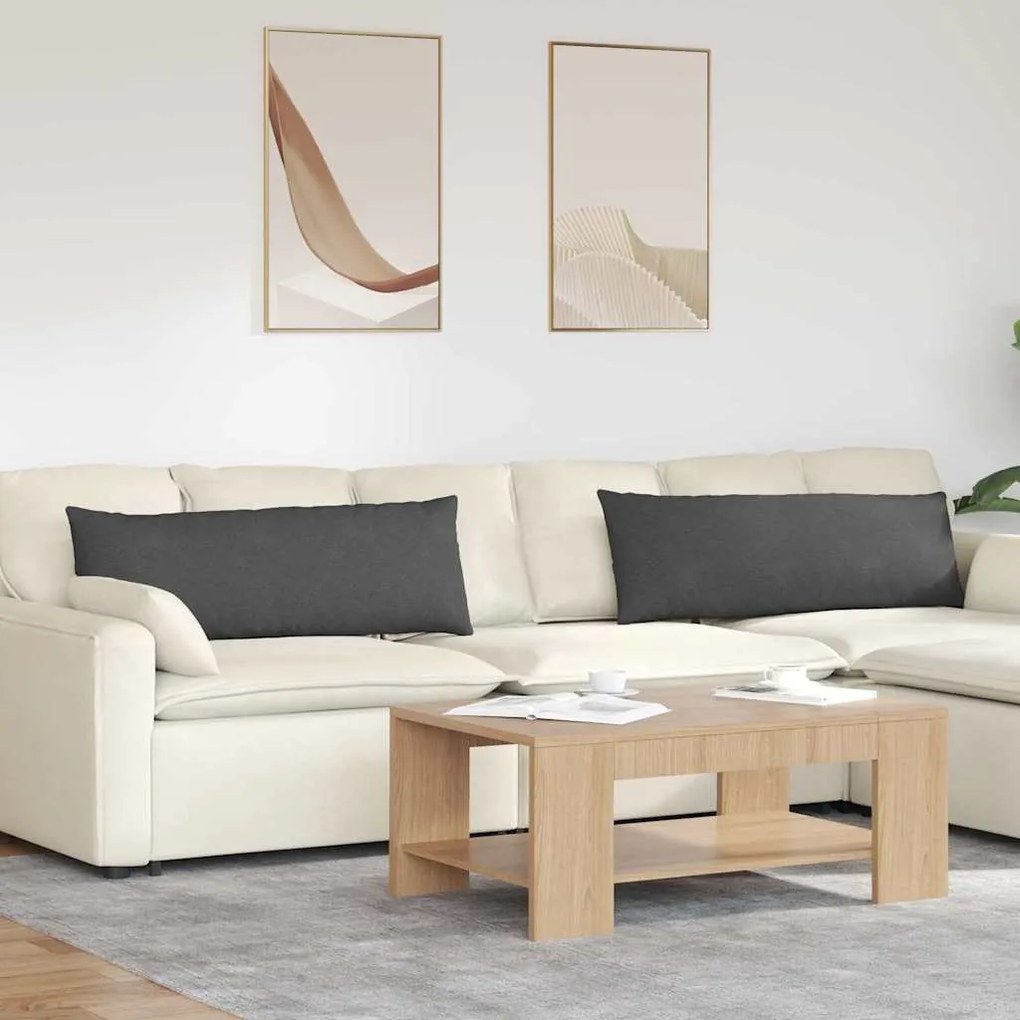 vidaXL Travesseiros de Sofá 2 pcs Cinza Escuro 120 x 40 cm