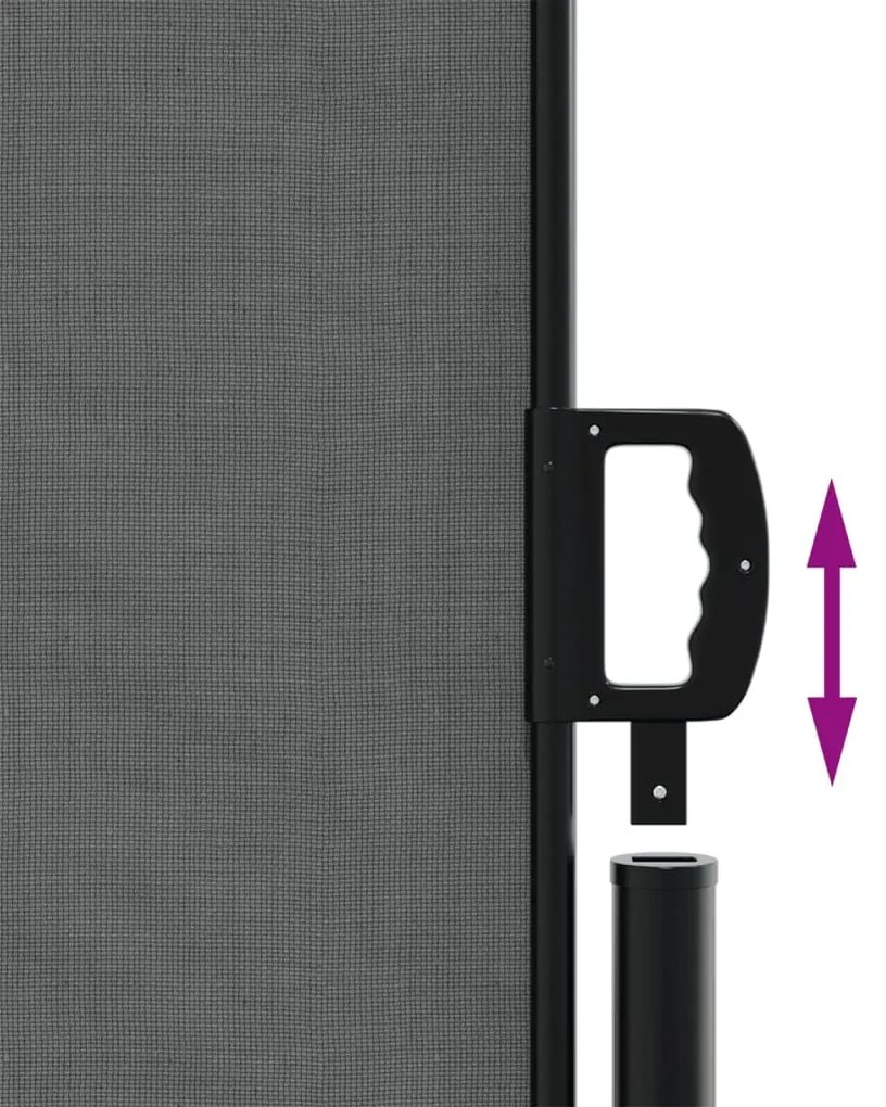 Toldo lateral retrátil 180x1200 cm antracite