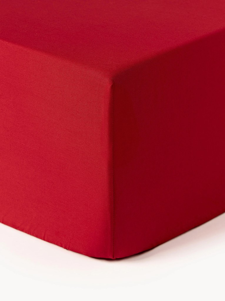 Lençol em percal de algodão com elástico boxspring Elsie