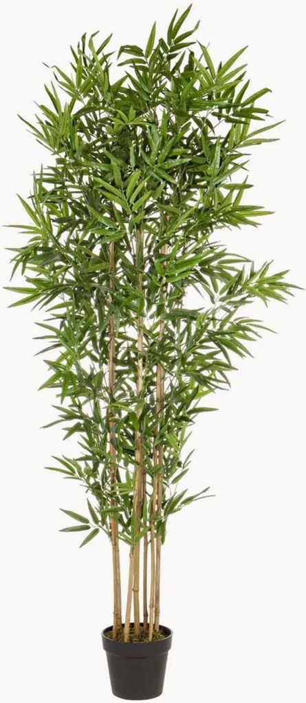 Plantas artificiais Bamboo II, conjunto de 2