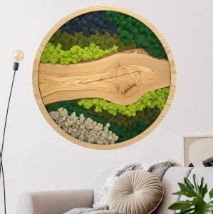 Autocolante de musgo redondo - Fonte com diferentes tipos de musgos