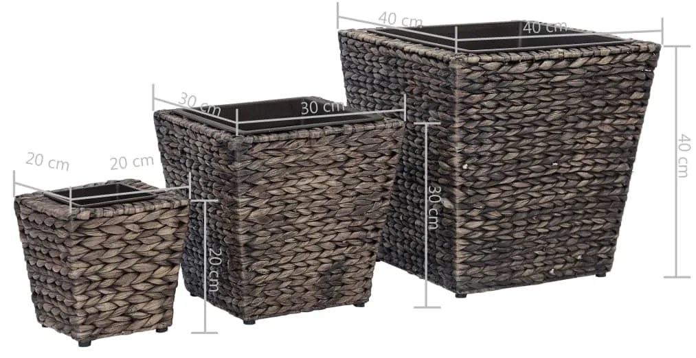 Vasos/floreiras 3 pcs jacinto de água castanho