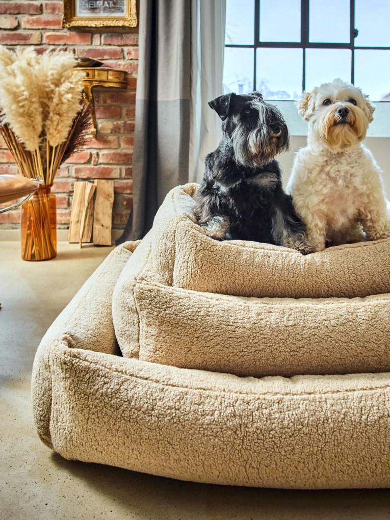 Cama para cães em bouclé Teddy, em vários tamanhos