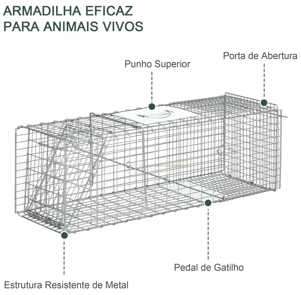 Armadilha na Abertura! 