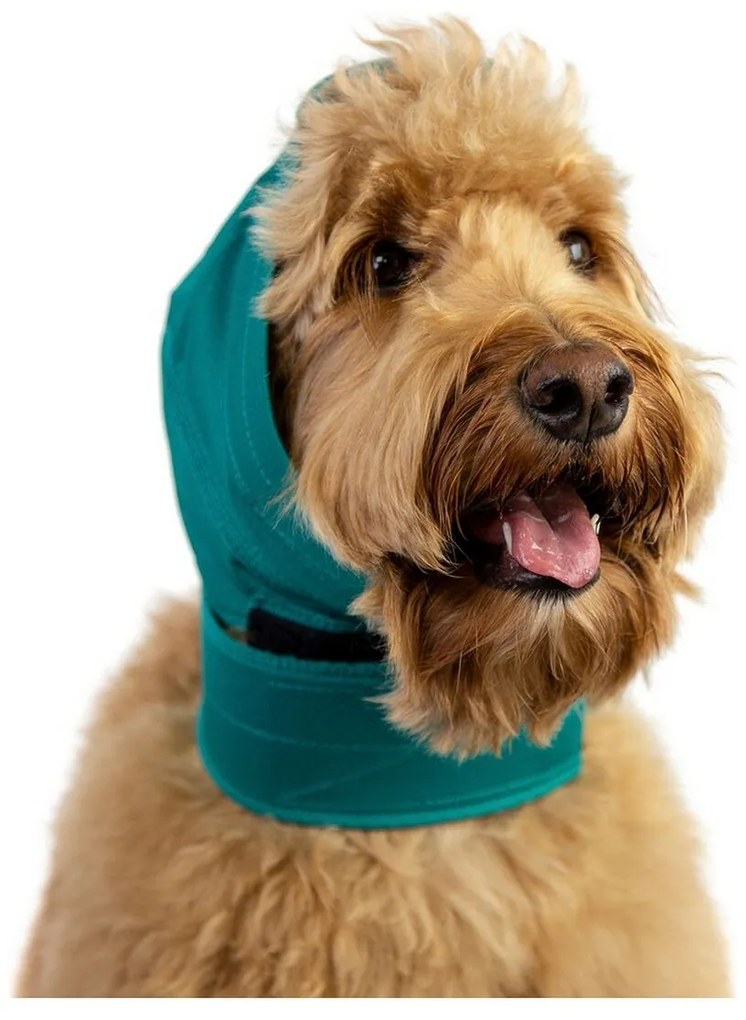 Protetor de orelhas para cães KVP Verde Tamanho L