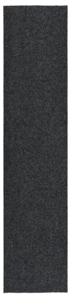 Tapete/passadeira de entrada 100x450 cm antracite