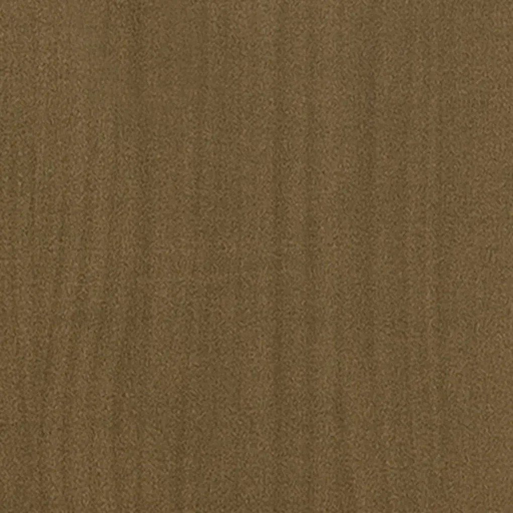Estante/divisória 40x30x167,5 cm pinho maciço castanho mel