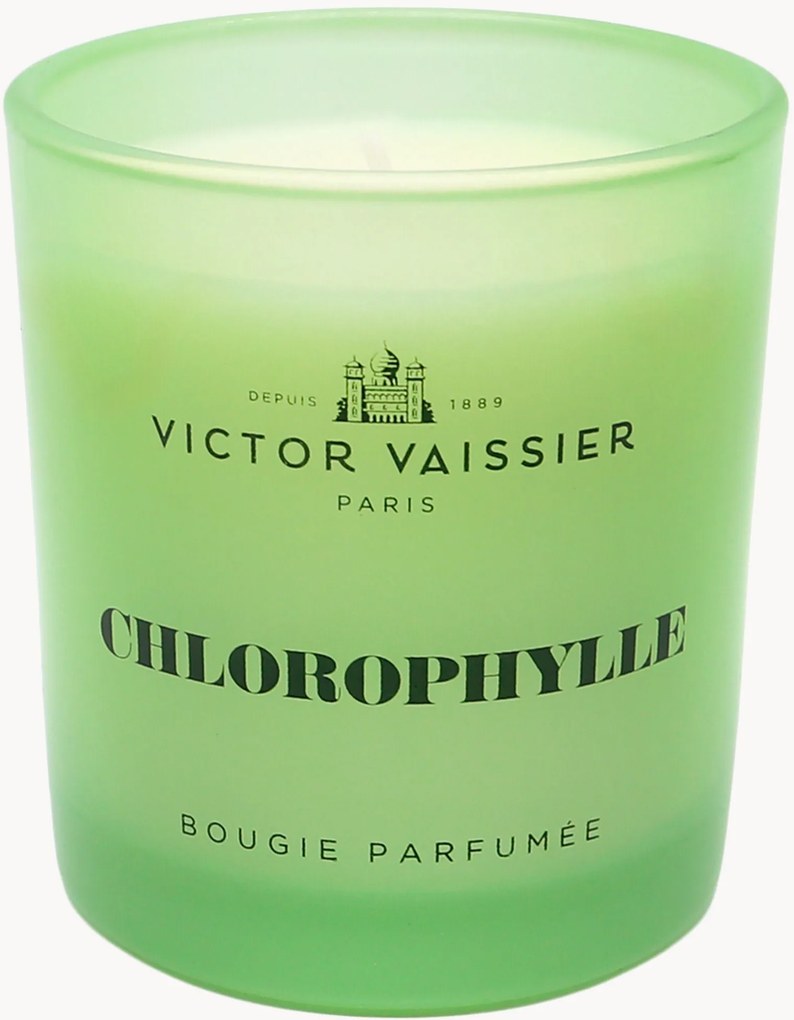 Vela perfumada Chlorophylle (tulipa, vetiver e frésia)