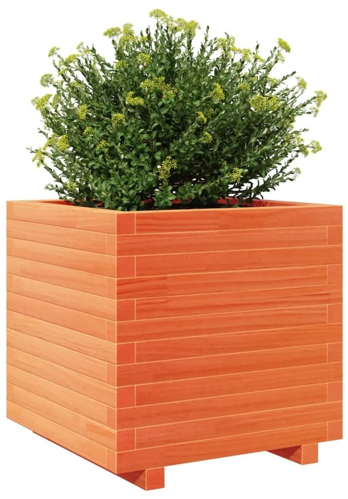 Vaso/floreira de jardim 50x50x49,5 cm pinho maciço castanho mel