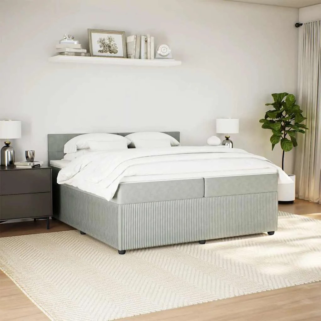 Cama com molas/colchão 200x200 cm veludo cinzento-claro