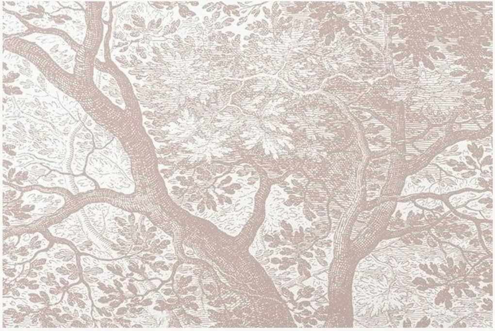 Papel de parede Engraved Landscapes