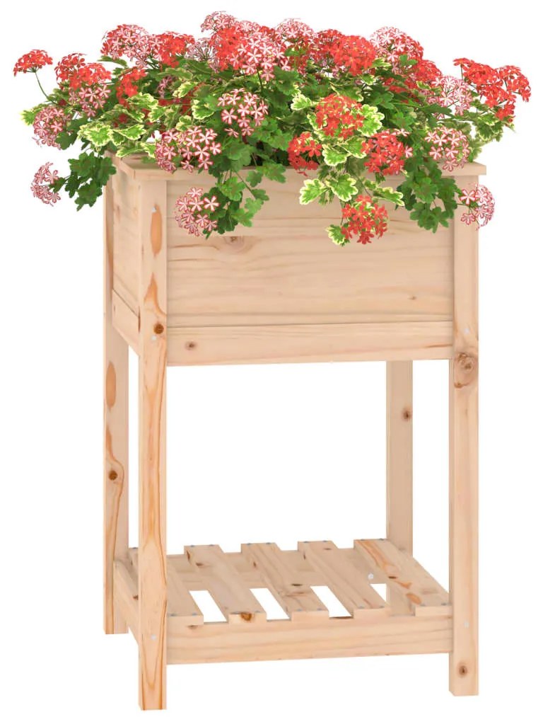 Vaso/floreira com prateleira 54x54x81 cm pinho maciço
