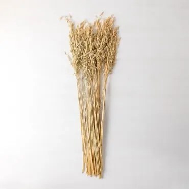 Ramo Decorativo Jayra Beige Creme - Sklum