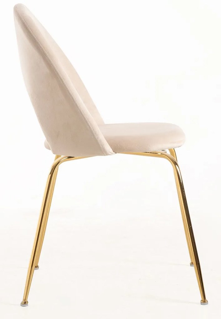 Pack 4 Cadeiras Dawa Gold Veludo - Beige