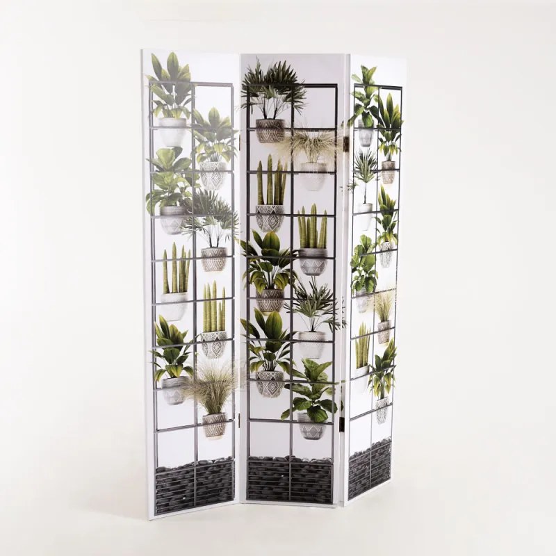 Biombo Plant