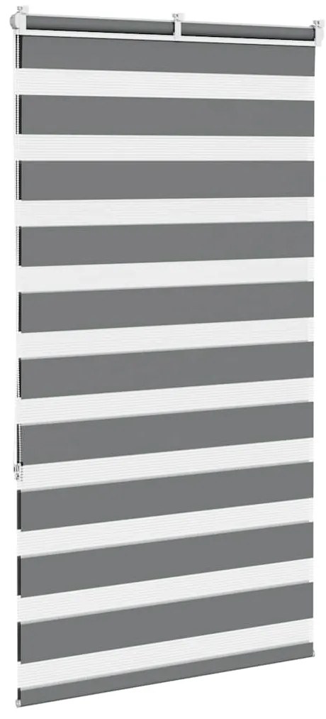 Cortina de zebra 70x150 cm largura do tecido 65,9 cm poliéster