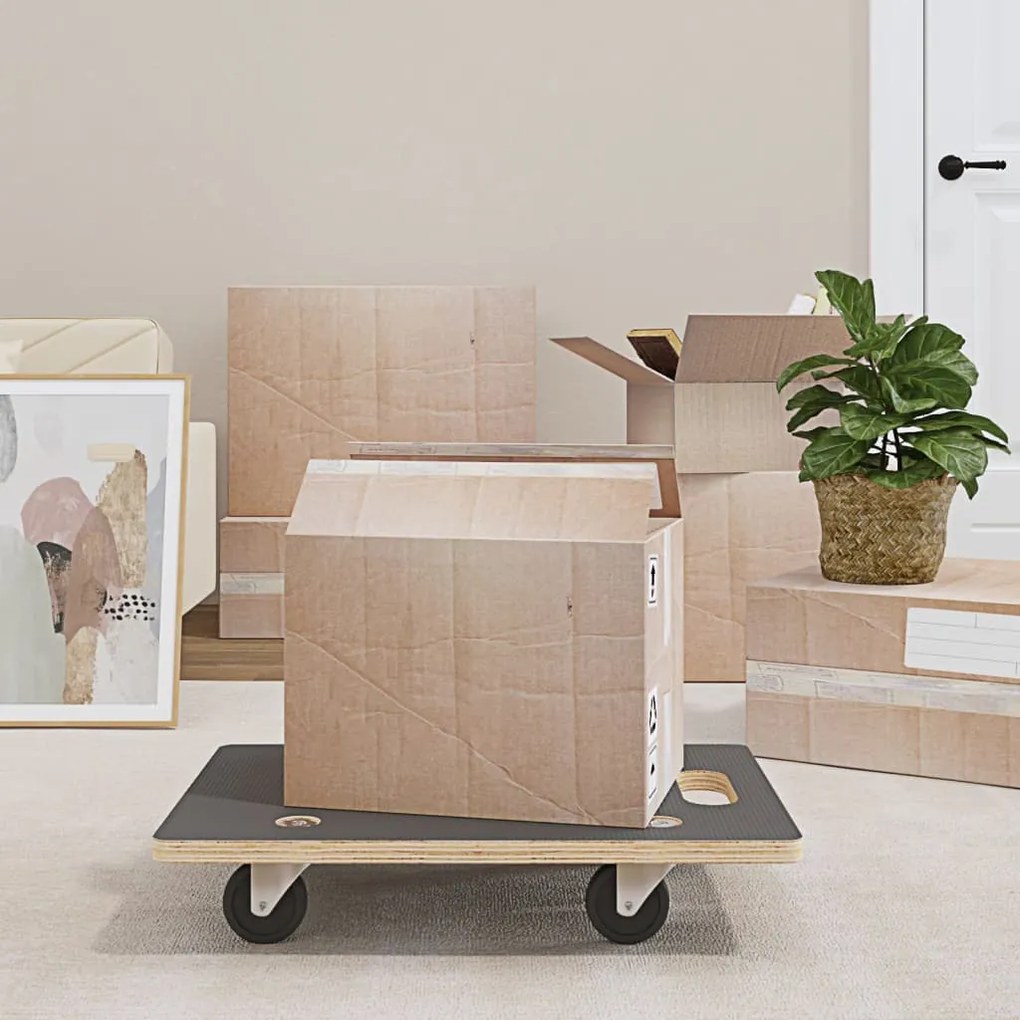 154890 vidaXL Carrinhos de transporte 2 pcs retangular 60x40x11,5 cm
