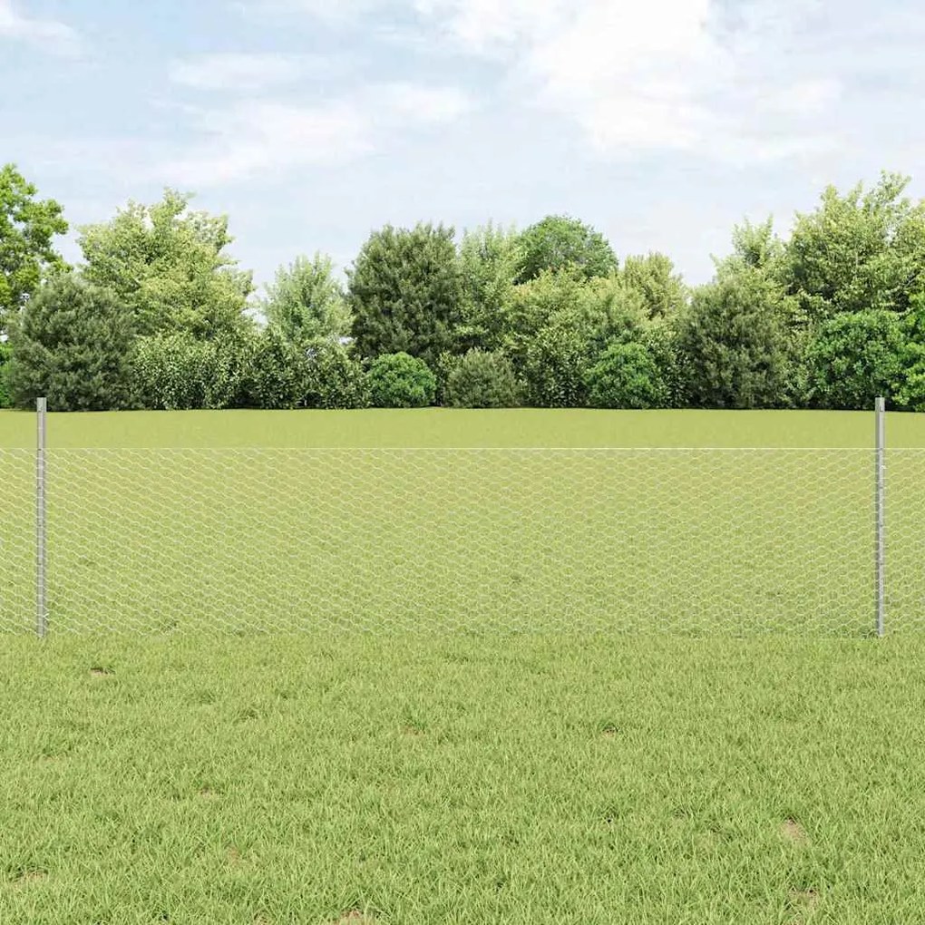 Conjunto de Cerca Jardim Conjunto de 2 Aço galvanizado 25 x 0,5 m
