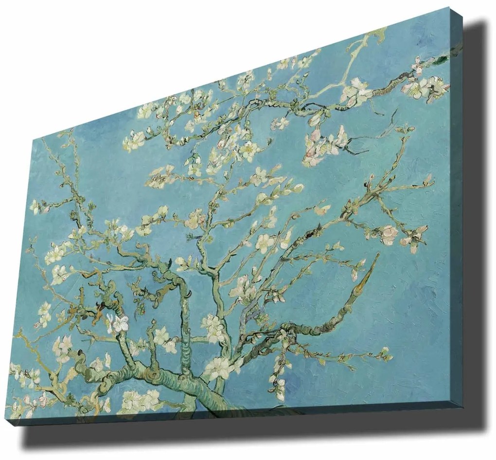 Quadro Decorativo 70100VANGOGH050 – Multicolor – 70 x 100 cm