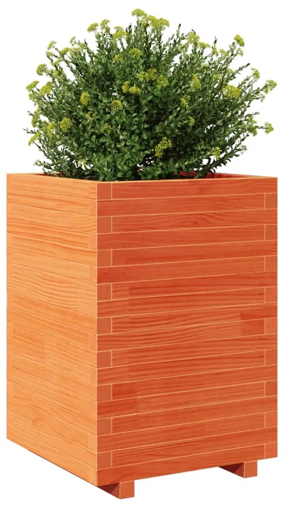 Vaso/floreira de jardim 50x50x72,5 cm pinho maciço castanho mel