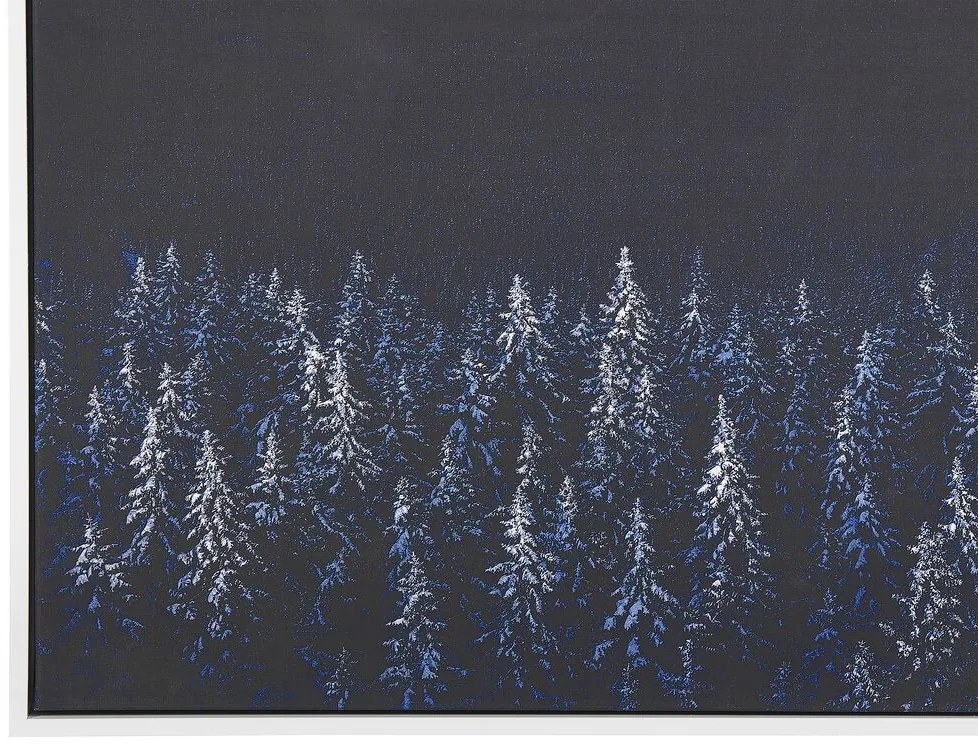 Quadro com motivo noturno em azul e preto 63 x 93 cm LORETO Beliani
