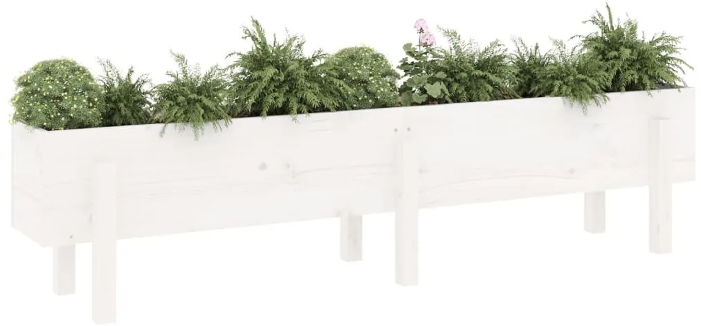 Canteiro elevado de jardim 160x30x38 cm pinho maciço branco