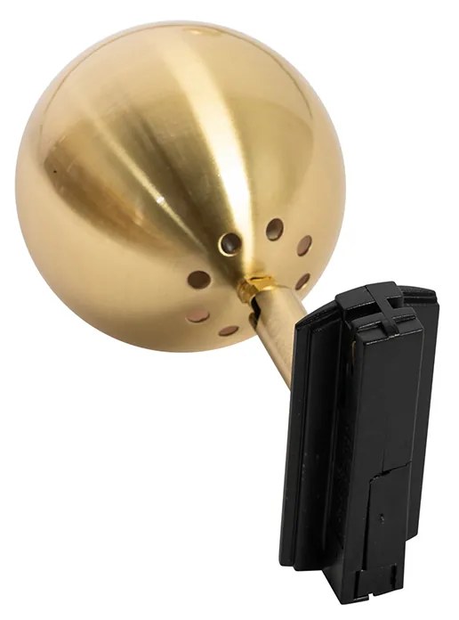 Foco de trilho monofásico moderno preto com dourado - Iconic Gissi
