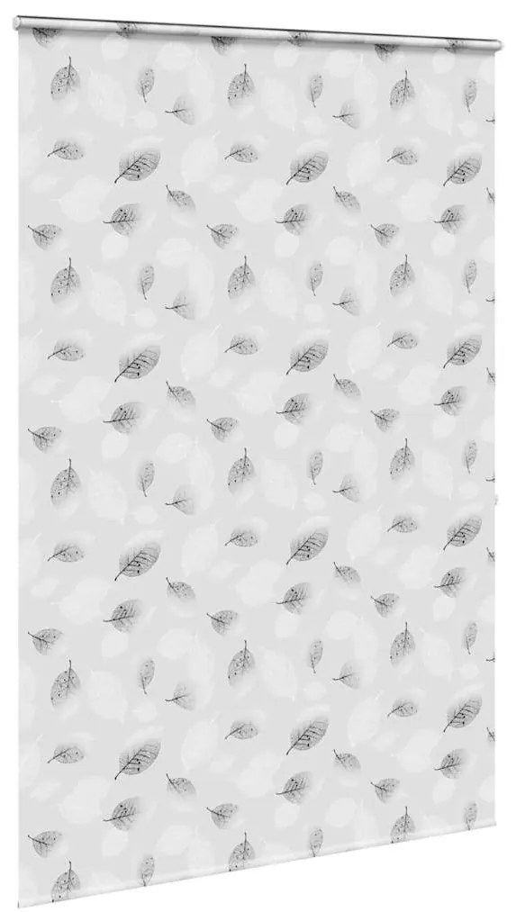 Rolo de Duche Estores cassete 160x240 cm Largura Tecido 156 cm