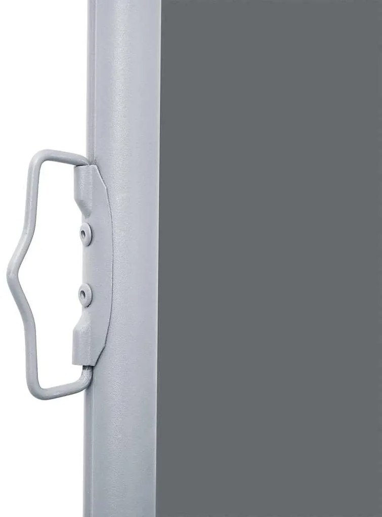 Toldo lateral retrátil 100x1000 cm antracite