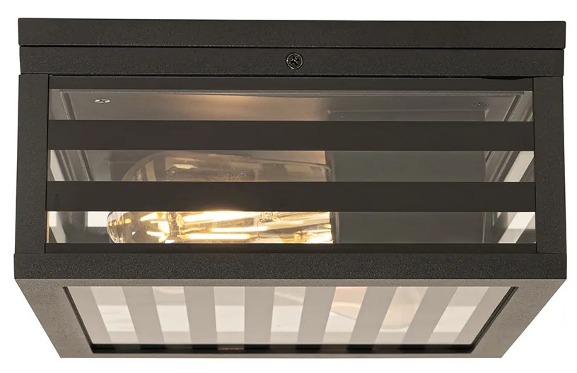Candeeiro de teto exterior moderno preto em vidro 2 luzes IP44 - Reims Moderno